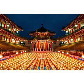 Chinese New Year Lanterns 2586 Wallpaper Wall Mural