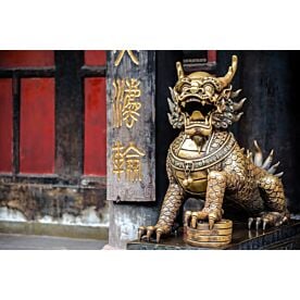 Guardian Lion at Forbidden City 3972 Wallpaper Wall Mural