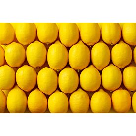 Lemons 1475 Wallpaper Wall Mural