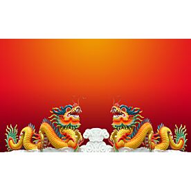 Chinese Dragon Wallpaper 3747 Wallpaper Wall Mural