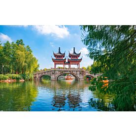 Guhua Garden Shanghai China Wallpaper Wall Mural