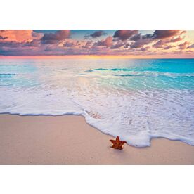 Cancun Beach Starfish 3440 Wallpaper Wall Mural