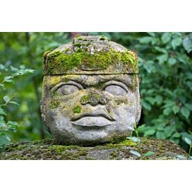 Olmec Head 0207 Wallpaper Wall Mural