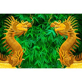 Golden Dragons on Bamboo Wallpaper Wall Mural