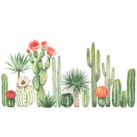 Cacti and Succulents 6769 Wallpaper Wall Mural