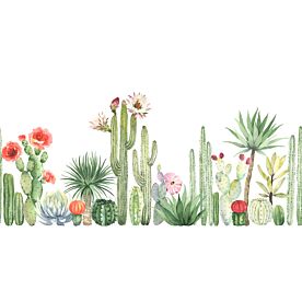 Cacti and Succulents 7082 Wallpaper Wall Mural