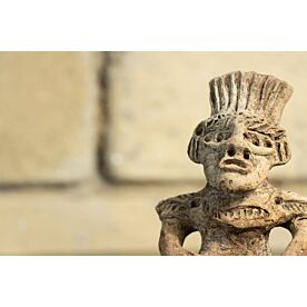 Aztec Warrior Figure 8074 Wallpaper Wall Mural