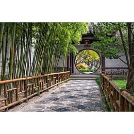 Chinese Garden with Circular Doorway Wallpaper Wall Mural