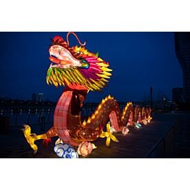 Chinese Dragon Lantern 9613 Wallpaper Wall Mural