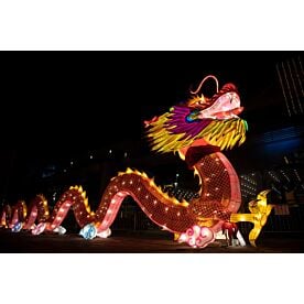 Chinese Dragon Lantern 9806 Wallpaper Wall Mural