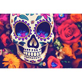 Sugar Skull Closeup 6308 Wallpaper Wall Mural