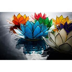 Lotus Vesak Lanterns Wallpaper Wall Mural