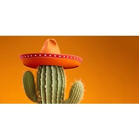 Sombrero Cactus 2541 Wallpaper Wall Mural