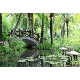 Chinese Garden and Bridge Wallpaper Wall Mural