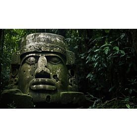 Olmec Head 6606 Wallpaper Wall Mural