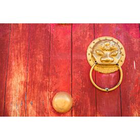 Chinese Lion Door Knocker 2674 Wallpaper Wall Mural