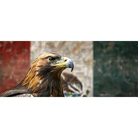 Mexican Flag and Eagle 9445 Wallpaper Wall Mural