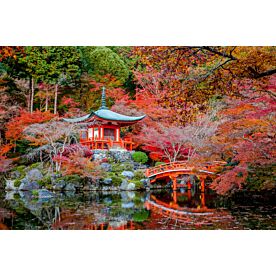 Shinto Buddhist Garden in Kyoto Japan Wallpaper Wall Mural