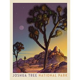 ADG Joshua Tree National Park Wallpaper Wall Mural