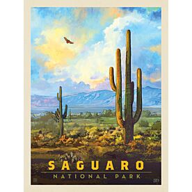 ADG Saguaro National Park Wallpaper Wall Mural