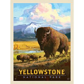 ADG Yellowstone National Park Wallpaper Wall Mural