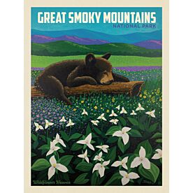 ADG Smoky Mountains National Park Wallpaper Wall Mural