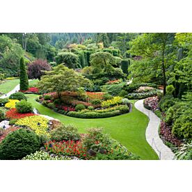 Butchart Garden View