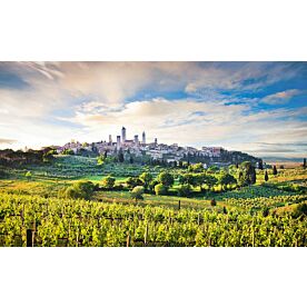 San Gimignano at Sunset Wallpaper Wall Mural