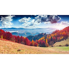 Coloful Autumn Landscape