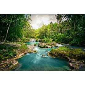 Deep Forest Waterfall