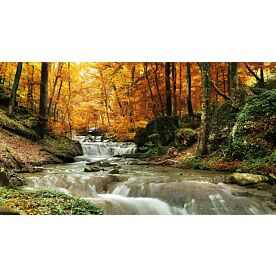 Autumn Woods Waterfall