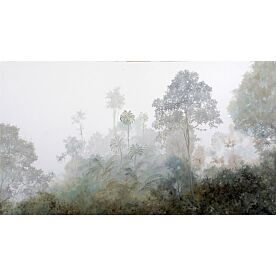 La Nebbia Nella Foresta