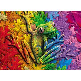 Hide and Seek Frog 3148 Wallpaper Wall Mural