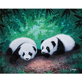 Double Trouble 925 Wallpaper Wall Mural