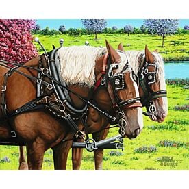 Clydesdales in the Meadow