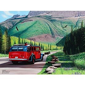 Moose Crossing in Glacier Park