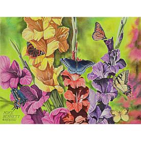 Butterflies and Gladiolas