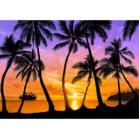 Palm Beach Sundown Wallpaper Wall Mural