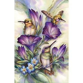 Flower Hummingbirds