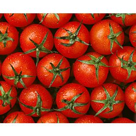 Cherry Tomatoes - Clearance 640