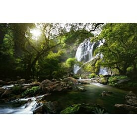 Mountain Forest Waterfall