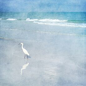 Coastal Beach Egret I