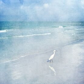 Coastal Beach Egret II