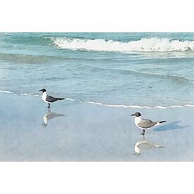 Two Gulls on the Beach