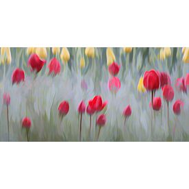 Bonanza of Tulips - Schwartz Wallpaper Wall Mural