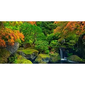 Autumn Waterfall I - Schwartz Wallpaper Wall Mural