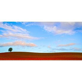 Rolling Hills of Clover - Schwartz Wallpaper Wall Mural