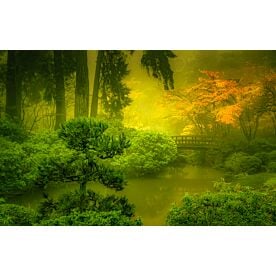 Garden in the Mist - Schwartz Wallpaper Wall Mural