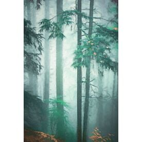 Deep in the Woods - Schwartz Wallpaper Wall Mural