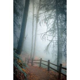 Autumn Mist - Schwartz Wallpaper Wall Mural